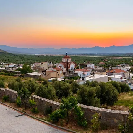 Pediada View